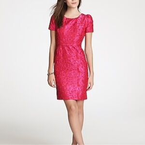 J.Crew Pink and Red Dress